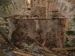 coolross 3450.JPG
